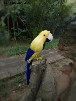 красиви пера на папагал моделиране папагал около 30 см птица е труден модел ръчно изработени декори, обстановка домашна градина подарък s0296