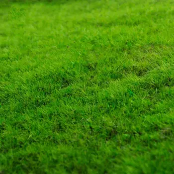 Модел на Тревата Изкуствени тревни Площи Пейзаж Трева Подложка за Модели на Влакове Сцена Тревата Фалшиви Бижута Трева Градински Аксесоари