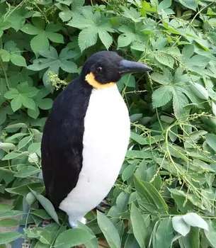 средно сладък нов имитационный пингвин играчка реалистичен пингвин кукла подарък от около 23x9 см